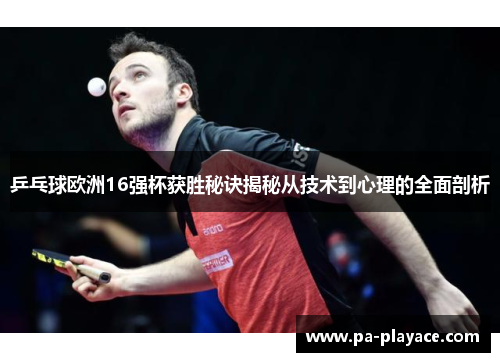 乒乓球欧洲16强杯获胜秘诀揭秘从技术到心理的全面剖析