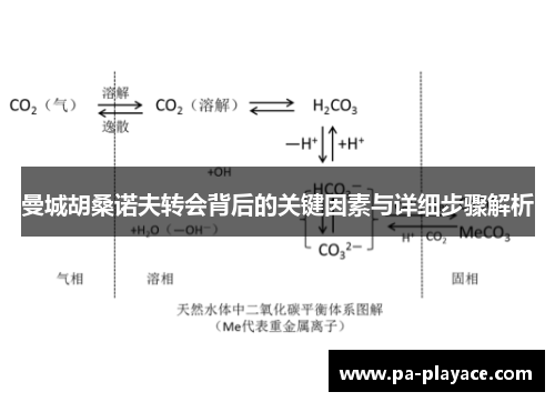 曼城胡桑诺夫转会背后的关键因素与详细步骤解析