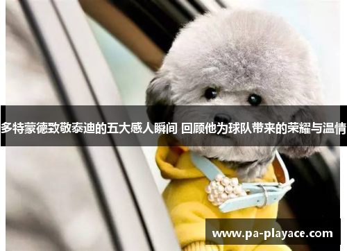 多特蒙德致敬泰迪的五大感人瞬间 回顾他为球队带来的荣耀与温情