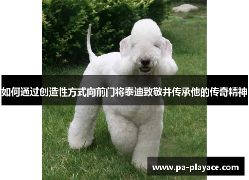 如何通过创造性方式向前门将泰迪致敬并传承他的传奇精神