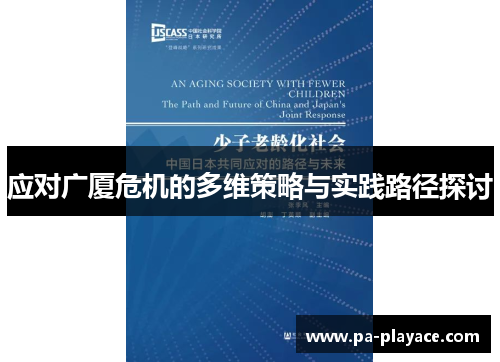 应对广厦危机的多维策略与实践路径探讨