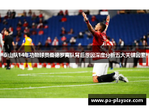 泰山队14年功勋球员桑德罗离队背后原因深度分析五大关键因素