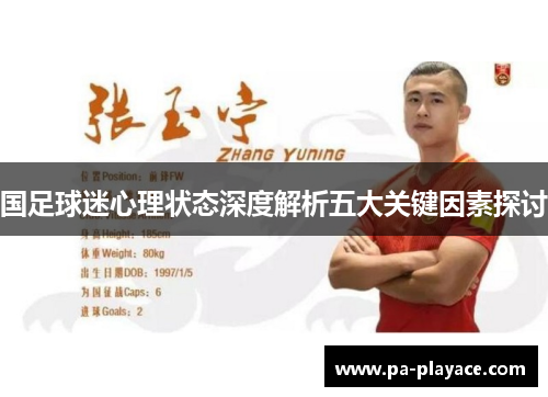 国足球迷心理状态深度解析五大关键因素探讨