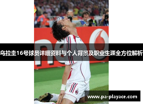 乌拉圭16号球员详细资料与个人背景及职业生涯全方位解析