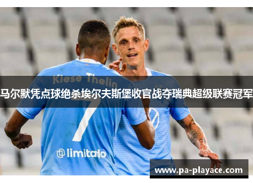 马尔默凭点球绝杀埃尔夫斯堡收官战夺瑞典超级联赛冠军