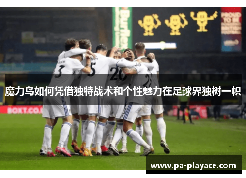 魔力鸟如何凭借独特战术和个性魅力在足球界独树一帜