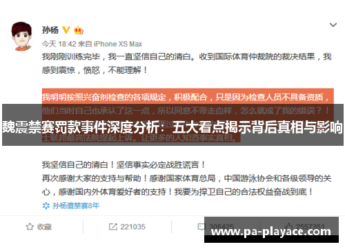 魏震禁赛罚款事件深度分析：五大看点揭示背后真相与影响